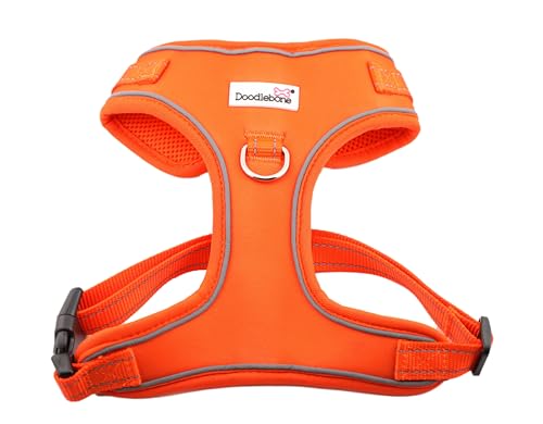 Doodlebone Verstellbares Airmesh, Mandarine, 2–3 Doodlebone Verstellbares Airmesh, Mandarine, 2–3 von Doodlebone