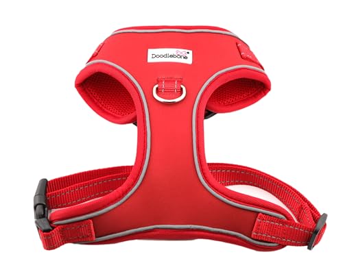 Doodlebone Verstellbares Airmesh, Rubinrot, 2–3 Doodlebone Verstellbares Airmesh, Rubinrot, 2–3 von Doodlebone
