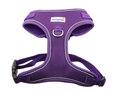 Doodlebone Verstellbares Airmesh, Violett, 3-5 Doodlebone Verstellbares Airmesh, Violett, 3-5 von Doodlebone
