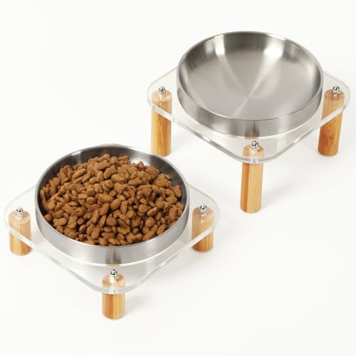 DoogCat Erhöhte Katzennäpfe für Indoor-Katzen – Erhöhter Acryl-Katzennapfständer mit 14 cm breitem Edelstahlgeschirr, Tischplatte für einfaches Füttern, Schnurrhaarfreundlich (Silber, 2 Stück) von DoogCat