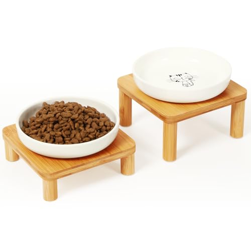 DoogCat Erhöhte Katzennäpfe für Indoor-Katzen – erhöhter Bambus-Katzennapfständer mit 14 cm breitem Keramikgeschirr, Tierfutter-Teller für einfaches Füttern, Schnurrhaarfreundlich (Weiß, 2 Stück) DoogCat Erhöhte Katzennäpfe für Indoor-Katzen – erhöhter Bambus-Katzennapfständer mit 14 cm breitem Keramikgeschirr, Tierfutter-Teller für einfaches Füttern, Schnurrhaarfreundlich (Weiß, 2 Stück) von DoogCat