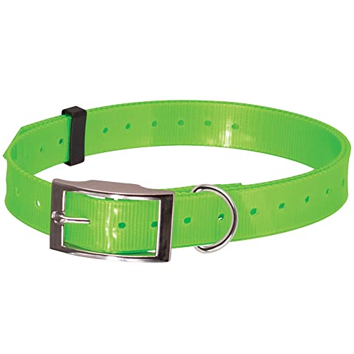 Doggy Hundehalsband, Nylon/Polyurethan, Neongrün, 24-82 cm x 25 mm von Doogy