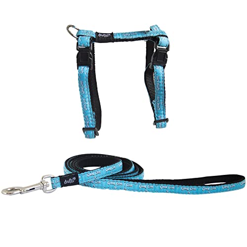 Doogy Set Geschirr + Leine Relax für Katzen, Blau, 1,20 m x 10 mm von Doogy