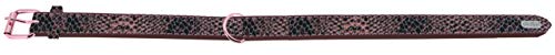 Doogy Shiny Hundehalsband, für andere Hunde Doogy Shiny Hundehalsband, für andere Hunde von Doogy