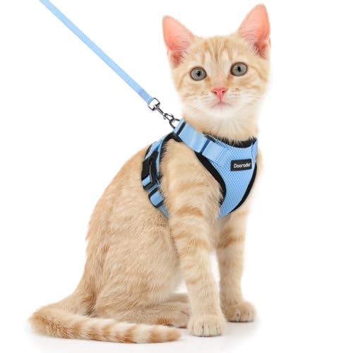 Dooradar Katzengeschirr mit Leine Ausbruchsicher, Katzenleine mit Geschirr für Katzen Mittelgroße, Reflektierend, Katzengeschirr Große Katze, XS, Hellblau Dooradar Katzengeschirr mit Leine Ausbruchsicher, Katzenleine mit Geschirr für Katzen Mittelgroße, Reflektierend, Katzengeschirr Große Katze, XS, Hellblau von Dooradar