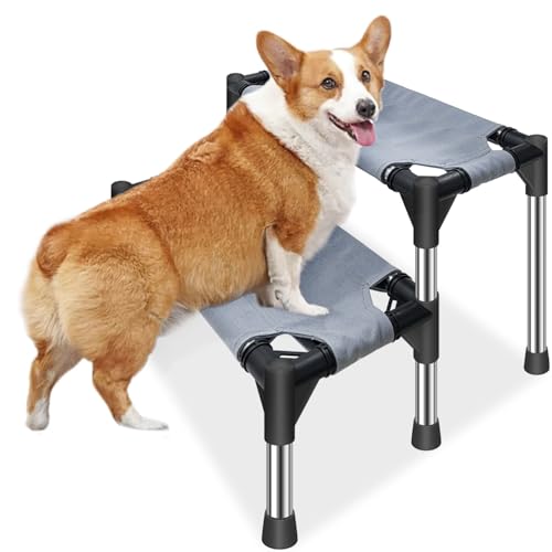 Hundetreppe für kleine Hunde – 2 Etagen Hundetreppe für Hochbett und CouchSofa, 31 cm hoch, rutschfeste Unterseite, Haustiertreppe, für Hunde und Katzen Klettern Hundetreppe für kleine Hunde – 2 Etagen Hundetreppe für Hochbett und CouchSofa, 31 cm hoch, rutschfeste Unterseite, Haustiertreppe, für Hunde und Katzen Klettern von Dopliv