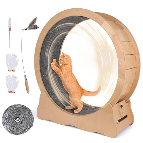 Doppy Katzen-Laufrad für Indoor-Katzen mit verbesserter Basis und abnehmbarer Teppichlaufbahn, 100 cm (39,37 Zoll) Holz-Laufrad mit geringem Geräuschpegel für Fitness, Gewicht und Unterhaltung von Doppy
