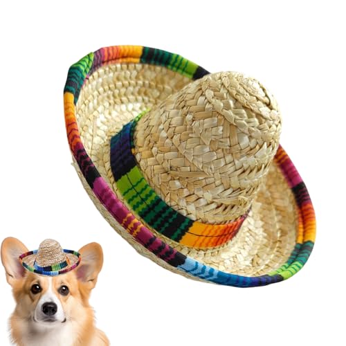 Dopsyesn Mini Sombreros,Geflochtener Mexiko Hut | Weitkrempiger Kopfschmuck Für Outdoor Feste Kostümpartys Haustiere Kinder Geburtstag Dopsyesn Mini Sombreros,Geflochtener Mexiko Hut | Weitkrempiger Kopfschmuck Für Outdoor Feste Kostümpartys Haustiere Kinder Geburtstag von Dopsyesn
