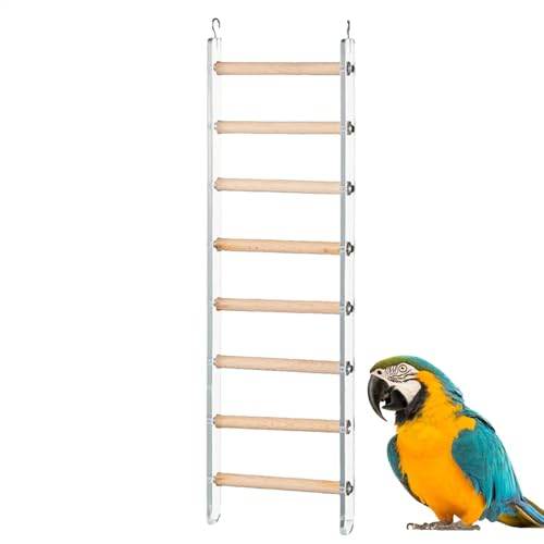 Dopsyesn Vogelleiter für Käfig, Vogelkäfigleiter | Käfigzubehör Klettern Sitzstangen,Flossenleitertrainingspielzeug mit 360 ° -rotierbarer Haken für Cockatiel Conure Selakeet Lovebirds von Dopsyesn