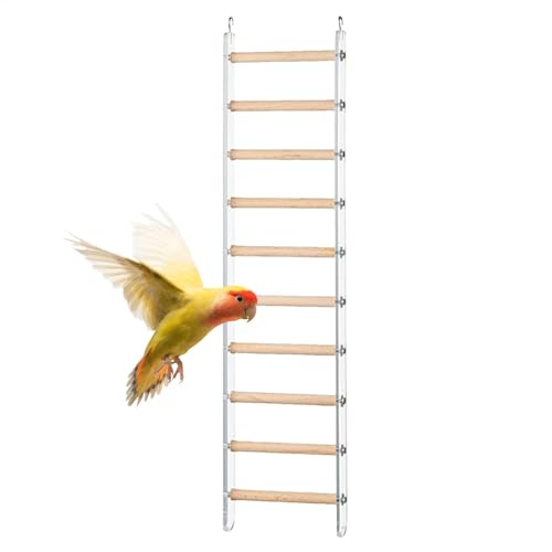 Dopsyesn Vogelleiter für Käfig, Vogelkäfigleiter | Klettern Barchen Käfigspielzeug - Flossenleitertrainingspielzeug mit 360 ° -rotierbarer Haken für Cockatiel Conure Selakeet Lovebirds von Dopsyesn