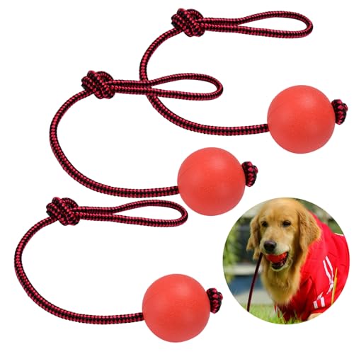 Dorakitten Wurfball Hund | Ball mit Schnur Hund | 3 Stück Elastische Hundespielzeug Ball mit Seil | Naturgummiball Seil | Welpenspielzeug | Kleine von Dorakitten