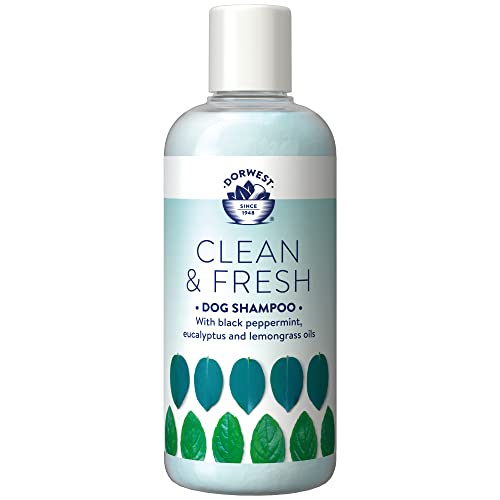 Dorwest Clean and Fresh Shampoo für Hunde und Katzen, 250 ml von DORWEST