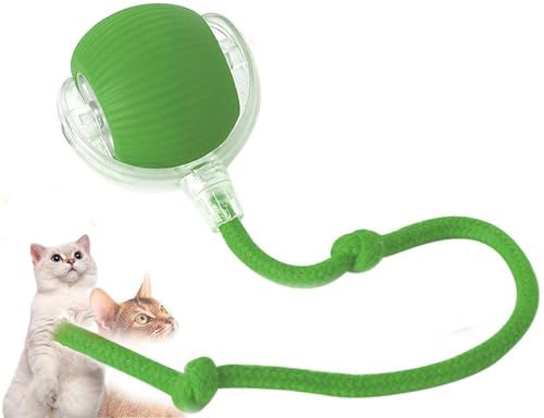 Dosanjh Elektrischer Ball Spielzeug für Katze, 360° Smart Automatisches Rollen Große Kleine Katzen Haustier Ball, USB Wiederaufladbar (Grün) von Dosanjh