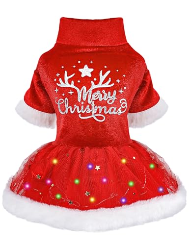 Weihnachts-Outfit für Hunde, Welpen, Tüllkleid, Haustier-Kleidung für kleine Hunde und Mädchen, leichte Samt-Welpenkleider, Haustier-Katzenbekleidung (Größe M, Rot) Weihnachts-Outfit für Hunde, Welpen, Tüllkleid, Haustier-Kleidung für kleine Hunde und Mädchen, leichte Samt-Welpenkleider, Haustier-Katzenbekleidung (Größe M, Rot) von Dosuyi