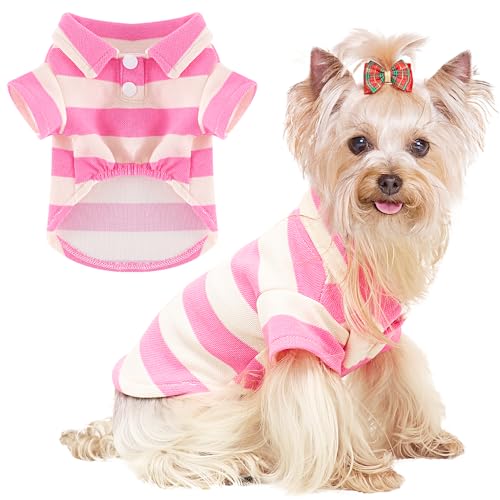 Hunde-Shirt mit Kragen für mittelgroße Hunde, Katzen, Jungen, Mädchen, Hundekleidung, atmungsaktiv, niedliches Hunde-Sweatshirt, Haustier-Outfit, Welpenkleid, coole Kleidung für kleine Hunde, weiblich von Dosuyi