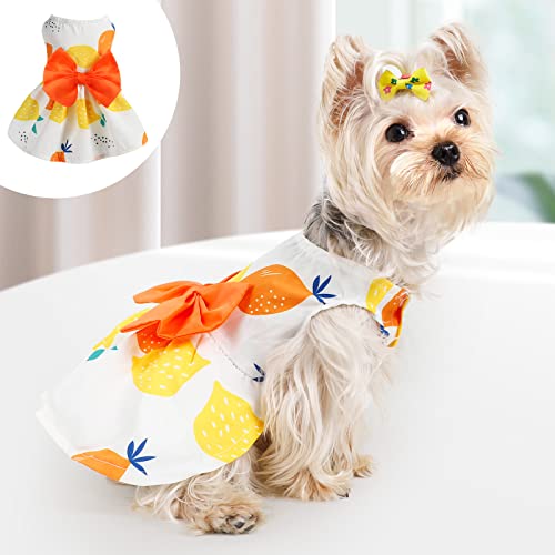 Hundekleid für kleine Hunde Sommer Hundekleidung für kleine Hunde Mädchen Welpen Kleider Haustierkleidung (groß, orange) von Dosuyi