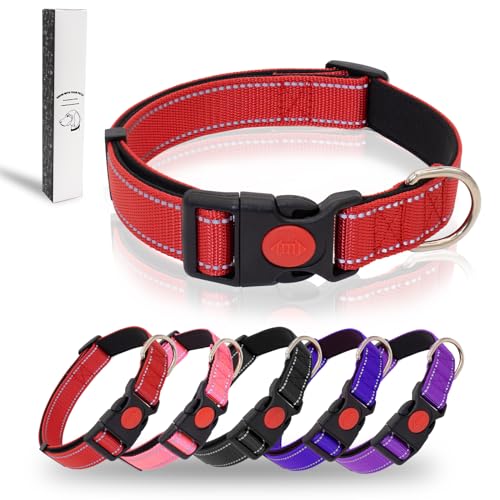 Dote on Hundehalsband, reflektierend, verstellbar, Basic-Hundehalsband mit weicher Neopren-Polsterung, strapazierfähiges Nylon, Haustierhalsbänder für Welpen, kleine, mittelgroße und große Hunde, Rot, Dote on Hundehalsband, reflektierend, verstellbar, Basic-Hundehalsband mit weicher Neopren-Polsterung, strapazierfähiges Nylon, Haustierhalsbänder für Welpen, kleine, mittelgroße und große Hunde, Rot, von Dote on