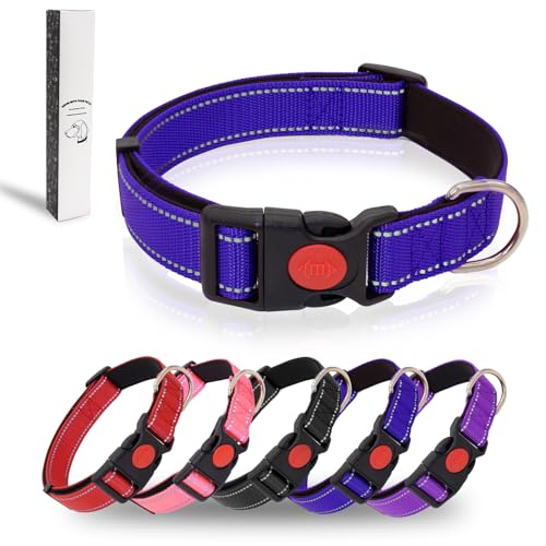 Dote on Hundehalsband, reflektierend, verstellbar, mit weicher Neopren-Polsterung, strapazierfähiges Nylon, Haustierhalsbänder für verschiedene Arten und Größen von Hunden, Größe XL: 45,7 - 71,1 cm Dote on Hundehalsband, reflektierend, verstellbar, mit weicher Neopren-Polsterung, strapazierfähiges Nylon, Haustierhalsbänder für verschiedene Arten und Größen von Hunden, Größe XL: 45,7 - 71,1 cm von Dote on