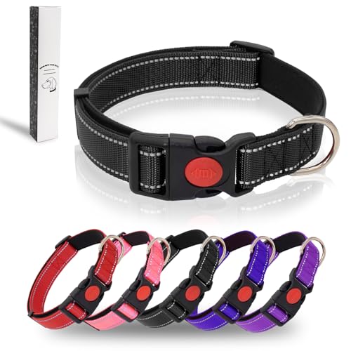 Dote on Hundehalsband, reflektierend, verstellbar, mit weicher Neopren-Polsterung, strapazierfähiges Nylon, Haustierhalsbänder für verschiedene Arten und Größen von Hunden, L: 40,6–61 cm Länge, 2,5 cm Dote on Hundehalsband, reflektierend, verstellbar, mit weicher Neopren-Polsterung, strapazierfähiges Nylon, Haustierhalsbänder für verschiedene Arten und Größen von Hunden, L: 40,6–61 cm Länge, 2,5 cm von Dote on