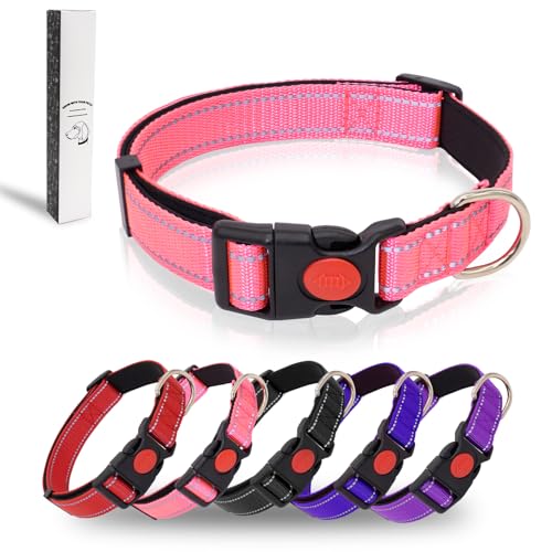 Dote on Hundehalsband, reflektierend, verstellbar, mit weicher Neopren-Polsterung, strapazierfähiges Nylon, Haustierhalsbänder für verschiedene Arten und Größen von Hunden, M: 35,6–50,8 cm Länge, 2,5 Dote on Hundehalsband, reflektierend, verstellbar, mit weicher Neopren-Polsterung, strapazierfähiges Nylon, Haustierhalsbänder für verschiedene Arten und Größen von Hunden, M: 35,6–50,8 cm Länge, 2,5 von Dote on