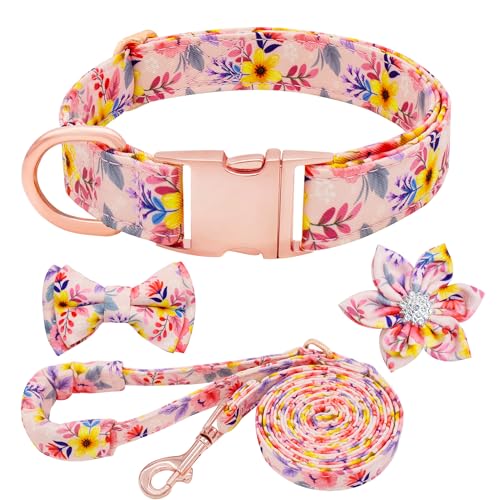 Dote on Hundehalsband und Leine, Set mit Fliege, Mädchen-Hundehalsband mit abnehmbarer Blume mit starker goldfarbener Schnalle, verstellbar, weich gepolstert, für kleine, mittelgroße und große Hunde von Dote on