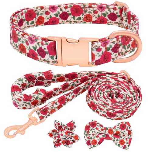 Dote on Hundehalsband und Leine, Set mit Fliege, Mädchen-Hundehalsband mit abnehmbarer Blume mit starker goldfarbener Schnalle, verstellbares, weich gepolstertes Haustierhalsband für kleine, Dote on Hundehalsband und Leine, Set mit Fliege, Mädchen-Hundehalsband mit abnehmbarer Blume mit starker goldfarbener Schnalle, verstellbares, weich gepolstertes Haustierhalsband für kleine, von Dote on