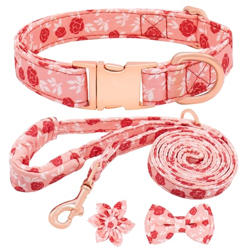 Dote on Hundehalsband und Leine, Set mit Fliege, Mädchen-Hundehalsband mit abnehmbarer Blume mit starker goldfarbener Schnalle, verstellbares, weich gepolstertes Haustierhalsband für kleine, Dote on Hundehalsband und Leine, Set mit Fliege, Mädchen-Hundehalsband mit abnehmbarer Blume mit starker goldfarbener Schnalle, verstellbares, weich gepolstertes Haustierhalsband für kleine, von Dote on