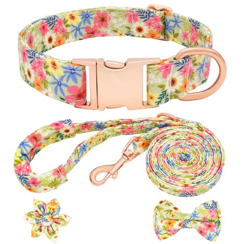 Dote on Hundehalsband und Leine, Set mit Fliege, Mädchen-Hundehalsband mit abnehmbarer Blume mit starker goldfarbener Schnalle, verstellbares, weich gepolstertes Haustierhalsband für kleine, Dote on Hundehalsband und Leine, Set mit Fliege, Mädchen-Hundehalsband mit abnehmbarer Blume mit starker goldfarbener Schnalle, verstellbares, weich gepolstertes Haustierhalsband für kleine, von Dote on