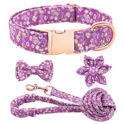Dote on Hundehalsband und Leine, Set mit Fliege, Mädchen-Hundehalsband mit abnehmbarer Blume mit starker goldfarbener Schnalle, verstellbares, weich gepolstertes Haustierhalsband für kleine von Dote on
