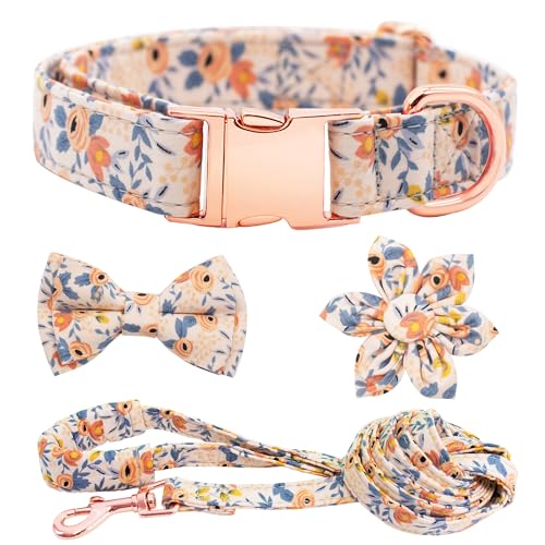Dote on Hundehalsband und Leine, Set mit Fliege, Mädchen-Hundehalsband mit abnehmbarer Blume mit starker goldfarbener Schnalle, verstellbares, weich gepolstertes Haustierhalsband für kleine von Dote on