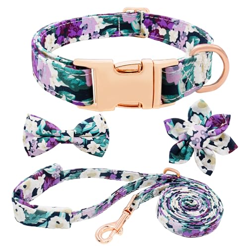 Dote on Hundehalsband und Leine, Set mit Fliege, Mädchen-Hundehalsband mit abnehmbarer Blume mit starker goldfarbener Schnalle, verstellbares, weich gepolstertes Haustierhalsband für kleine von Dote on