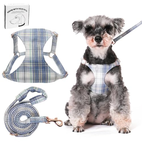 Dote on No Pull Hundegeschirr und Leine, weich, verstellbar, Welpen- und Katzengeschirr, floral/kariert, ausbruchsicher, Haustierweste, Geschirr für extra kleine/kleine mittelgroße Hunde, Blau Dote on No Pull Hundegeschirr und Leine, weich, verstellbar, Welpen- und Katzengeschirr, floral/kariert, ausbruchsicher, Haustierweste, Geschirr für extra kleine/kleine mittelgroße Hunde, Blau von Dote on
