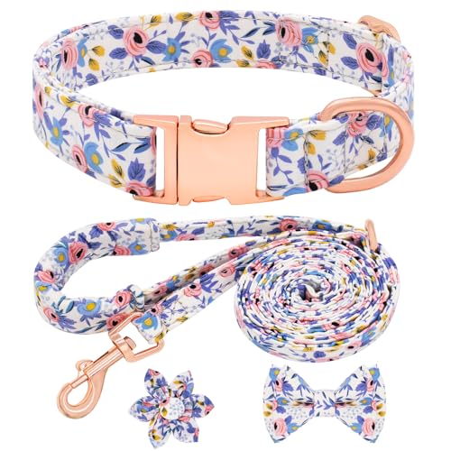 Hundehalsband und Leine für Mädchen, Set mit Fliege, verstellbares, weich gepolstertes Haustierhalsband mit abnehmbarer Blume und Erkennungsmarke, starke goldfarbene Schnalle für kleine, mittelgroße Hundehalsband und Leine für Mädchen, Set mit Fliege, verstellbares, weich gepolstertes Haustierhalsband mit abnehmbarer Blume und Erkennungsmarke, starke goldfarbene Schnalle für kleine, mittelgroße von Dote on
