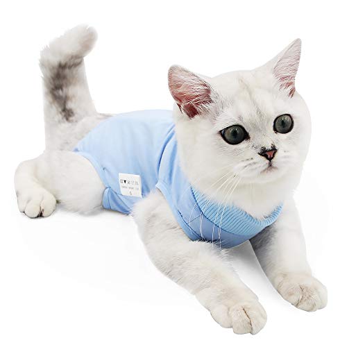 Dotoner Katzenbody Nach Op Anti-leckende für Katze Body Operation Haut-Krankheit Recovery Body Katze Kleidung Nach Kastration E-Halsband Alternative für Katzen Hunde (L, blau) von Dotoner