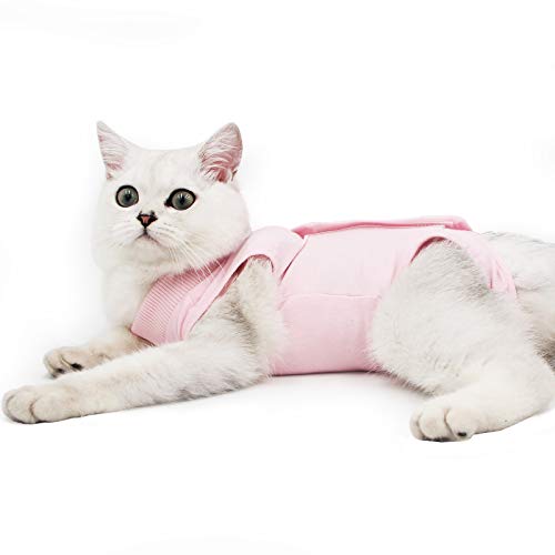 Dotoner Katzenbody Nach Op Anti-leckende für Katze Body Operation Haut-Krankheit Recovery Body Katze Kleidung Nach Kastration E-Halsband Alternative für Katzen Hunde (M, Rose) von Dotoner