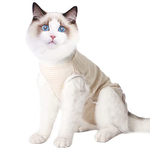 Cat Professional Recovery Anzug, chirurgische Erholung Shirt für Bauchwunden Bandagen Kegel Alternative für Katzen nach Operationen medizinischer Anzug weiche Haustierkleidung Indoor(Orange,L) von Dotoner