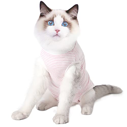 Cat Professional Recovery Anzug, chirurgische Erholung Shirt für Bauchwunden Bandagen Kegel Alternative für Katzen nach Operationen medizinischer Anzug weiche Haustierkleidung Indoor(Rosa,L) von Dotoner