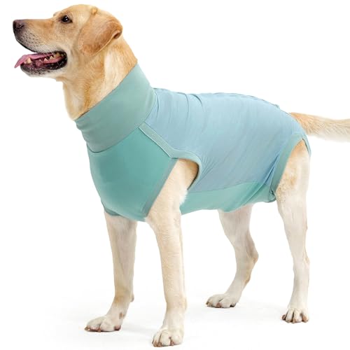 Dotoner Hundebody Nach Op,Kastration Wundschutzanzüge für Hunde,Hundebody Nach Kastration Rüde Hündin,Atmungsaktiv Body Für Hunde Nach Op Katzenbody,Leckschutz Hund,Anti-Wundlecken Op Body Hund Dotoner Hundebody Nach Op,Kastration Wundschutzanzüge für Hunde,Hundebody Nach Kastration Rüde Hündin,Atmungsaktiv Body Für Hunde Nach Op Katzenbody,Leckschutz Hund,Anti-Wundlecken Op Body Hund von Dotoner