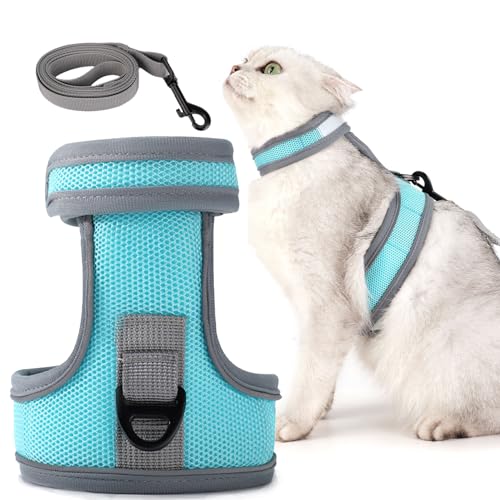 Dotoner Katzengeschirr und Leine-Set ausbruchsicheres Katzengeschirr und Leine-Set verstellbares Katzengeschirr für große kleine Katzen leichtes weiches Haustiergeschirr für Spaziergänge und Reisen Dotoner Katzengeschirr und Leine-Set ausbruchsicheres Katzengeschirr und Leine-Set verstellbares Katzengeschirr für große kleine Katzen leichtes weiches Haustiergeschirr für Spaziergänge und Reisen von Dotoner