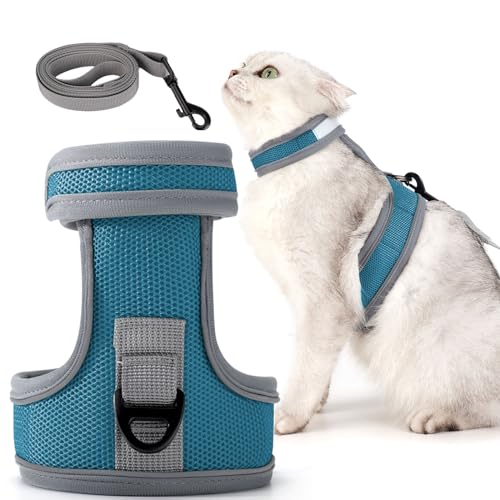 Dotoner Katzengeschirr und Leine-Set ausbruchsicheres Katzengeschirr und Leine-Set verstellbares Katzengeschirr für große kleine Katzen leichtes weiches Haustiergeschirr für Spaziergänge und Reisen Dotoner Katzengeschirr und Leine-Set ausbruchsicheres Katzengeschirr und Leine-Set verstellbares Katzengeschirr für große kleine Katzen leichtes weiches Haustiergeschirr für Spaziergänge und Reisen von Dotoner