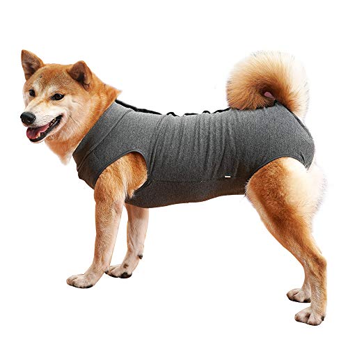 Krankenhausanzug für Hunde und Katzen, Wundschutz für Welpen, medizinische Kleidung, nach Operationen, Ersatzkragen und Kegel(3XL, grau) von Dotoner