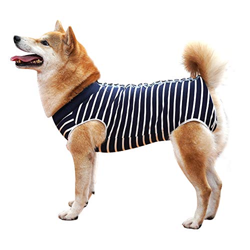 Dotoner Recovery Suit Hund,Haustiere Schutz Kleidung Hunde Kleidung für Genesung nach der Operation E-Kragen Alternative für Welpe (L, blau gestreift) von Dotoner
