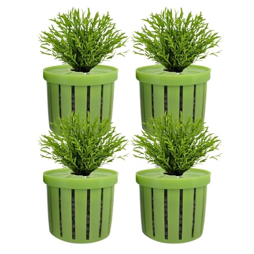 Dottduya Aquarium Pflanzenhalter | Pflanzenbecher für Aquarien - Dekorativer Wasserpflanzen Halter, Wasserdékor Für Aquarien In Wohnung, Büro Und Restaurant Dottduya Aquarium Pflanzenhalter | Pflanzenbecher für Aquarien - Dekorativer Wasserpflanzen Halter, Wasserdékor Für Aquarien In Wohnung, Büro Und Restaurant von Dottduya