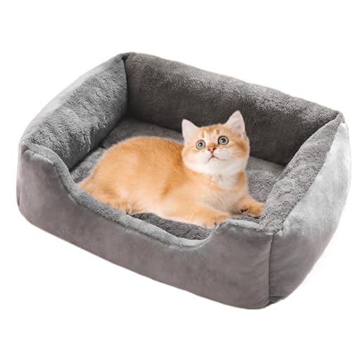 Dottduya Katzenbett | Rechteckiges Waschbares Schlafkissen Für Welpen | Plüschweiches Beruhigendes Kuschelbett Mit Wärmefunktion Als Schlafplatz Sofa Für Wohnzimmer Boden Hundezwinger Dottduya Katzenbett | Rechteckiges Waschbares Schlafkissen Für Welpen | Plüschweiches Beruhigendes Kuschelbett Mit Wärmefunktion Als Schlafplatz Sofa Für Wohnzimmer Boden Hundezwinger von Dottduya