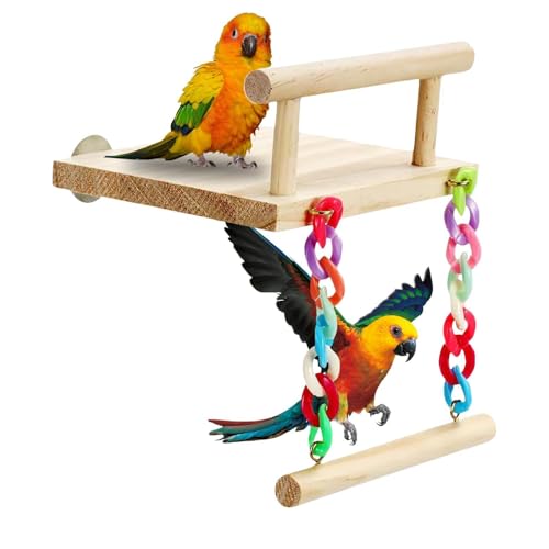 Dottduya Vogelschaukeln für Sittiche, stehendes Vogelspielzeug - Vogelbarschständer,Vogelspielzeug, Schaukel, schaukel, Vogelspielzeug für mehrere Vögel, zum Spielen von, Nymphensittichen von Dottduya