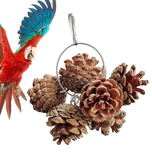 Dottduya Vogelspielzeug für Papageien, Vogelspielzeug zum Kauen von Sittichen, Spielzeug zum Kauen von Vogel-Tannenzapfen-Nüssen, Vogelspielzeug für den Käfig, sicherer Spaß für kleine und mittelgroße Dottduya Vogelspielzeug für Papageien, Vogelspielzeug zum Kauen von Sittichen, Spielzeug zum Kauen von Vogel-Tannenzapfen-Nüssen, Vogelspielzeug für den Käfig, sicherer Spaß für kleine und mittelgroße von Dottduya