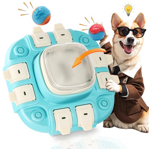 Hundespielzeug Intelligenz, 3-In-1 Intelligenzspielzeug für Hunde-Stufe 2, mit 2 Haustierball und 4 Rutschfesten Böden, Trainieren des Spaßes Beim Füttern, Hundeintelligenz Verbessern Unterhaltung von DoubleCare