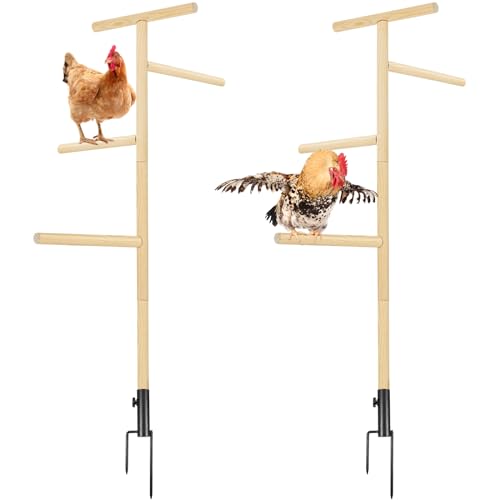 DoubleFill 2 x extra große Hühner-Sitzstangen aus Holz mit starker Wurststange, Hühneranreicherungsspielzeug für Stall, Brutkörper, große Vögel, einfach zu montieren, mit Installationsvideo DoubleFill 2 x extra große Hühner-Sitzstangen aus Holz mit starker Wurststange, Hühneranreicherungsspielzeug für Stall, Brutkörper, große Vögel, einfach zu montieren, mit Installationsvideo von DoubleFill