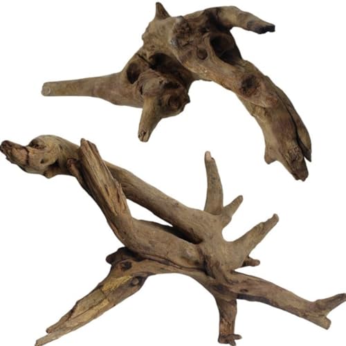 Treibholz für Aquarium-Dekoration, Aquarium-Dekoration, 2 Stück Reptilien-Zweige, Treibholz für Aquarien, Hardscape, Betta-Fische, Reptilien, Treibholzzweig (Treibholz, 2 Stück) von DoubleWood