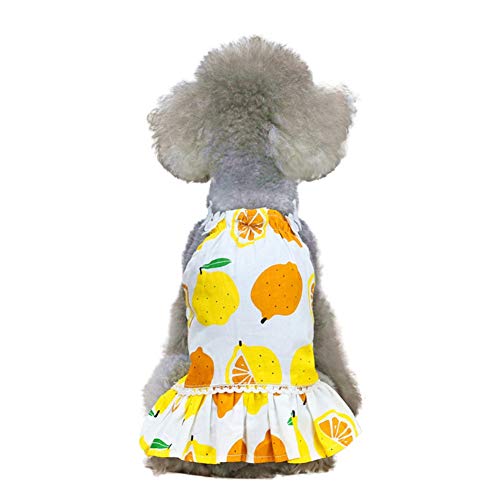 Haustier Hund Kleid Sommer Kleine mittelgroße Hundewelpen Kleidung Zitrone Drucken Hunde Rock Kleidung Prinzessin Haustier Kleider für Mädchen Pudel, Teddy, Chihuahua von Doubleer